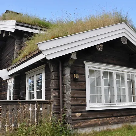 Feriehus 5 Star In